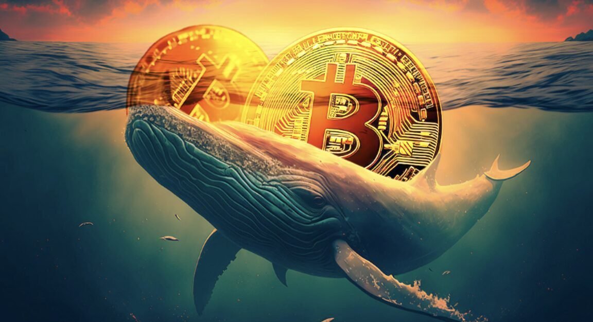 découvrez comment les baleines du bitcoin ont influencé le marché avec près de 1,5 milliard d'euros en transactions. plongez dans l'univers fascinant des investisseurs majeurs et leur impact sur la cryptomonnaie.