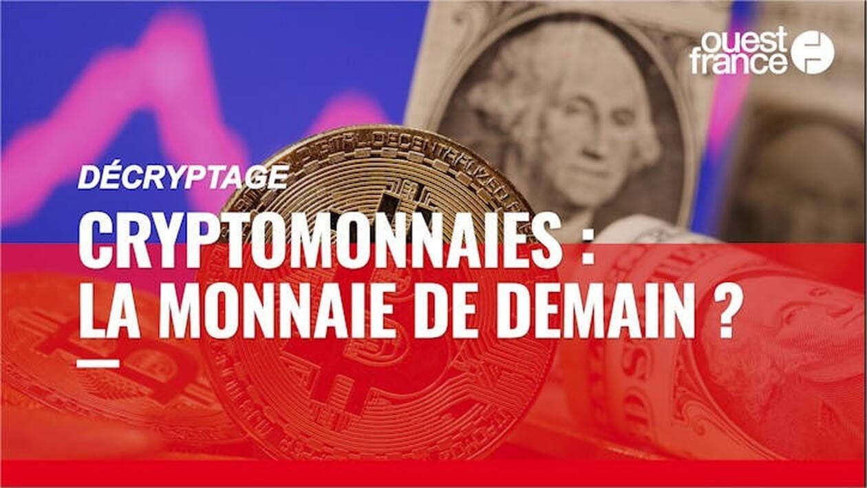 découvrez tout sur les cryptomonnaies en france : tendances du marché, guides d'investissement, réglementations, et actualités essentielles pour vous aider à naviguer dans le monde des crypto-actifs.